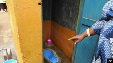 Internal Organs Flushed Down The Toilet By Boyfriend - Watch