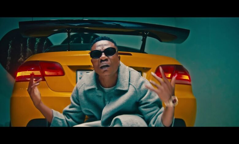 Selemanyo - SNITCH Video WATCH