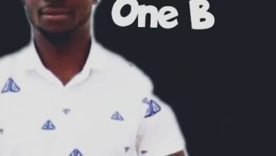 One B - The Collection Volume One Mp3 Download