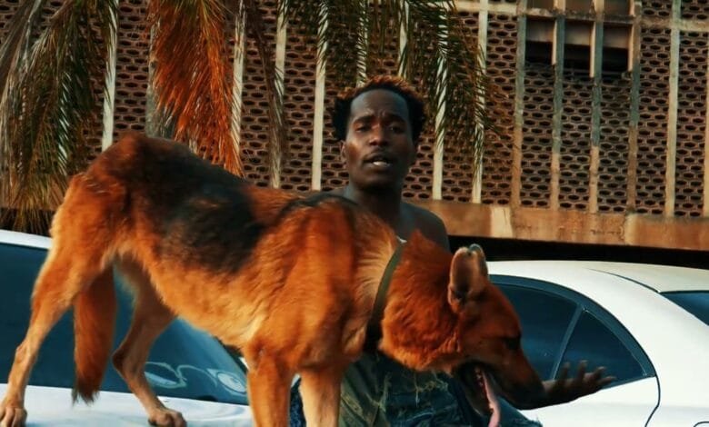 Y Celeb ft. Chanda & Goddy Zambia - Careful Video