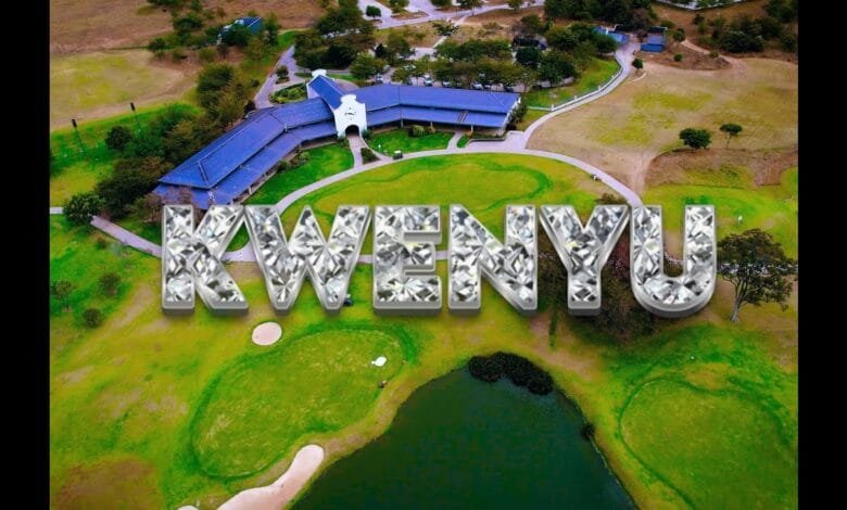 Drimz - Kwenyu Music Video