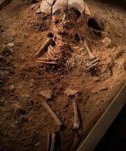 TRENDING Skeletal Remains Of A Year Old Found - Mother Suspect