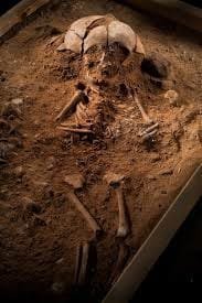 TRENDING Skeletal Remains Of A Year Old Found - Mother Suspect