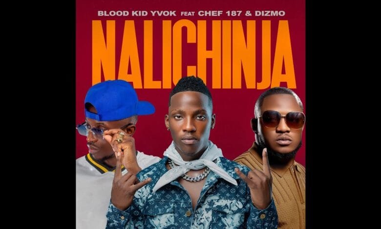 Bloodkid Yvok ft. Chef 187 & Dizmo || Nalichinja Mp3 Download