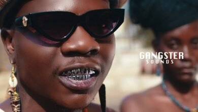 Selemanyo - Danger Music Video