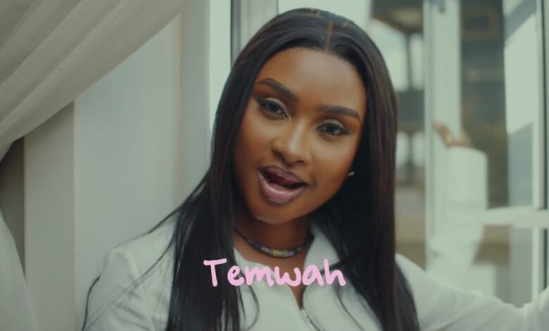 Temwah ft. Driemo - Deejay Volume Music Video