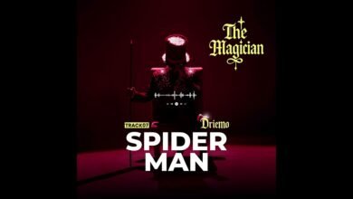 Driemo || Spider Man Mp3 Download