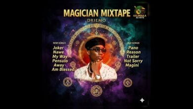 Driemo || The Magician Non Stop Playlist Mp3