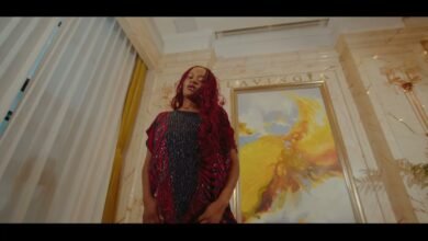 Mr Crown - Forever Visualizer